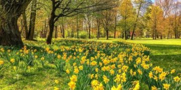 (Φωτ.: pixabay.com)