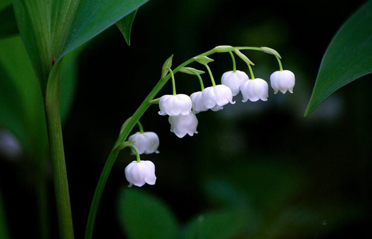 (Φωτ.: Pixabay)