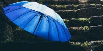 (Πηγή: pexels /ravi kant)