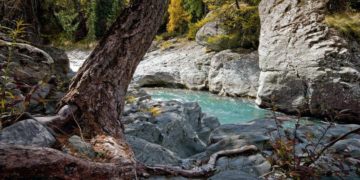 (Φωτ.: pixabay.com/camera-man)