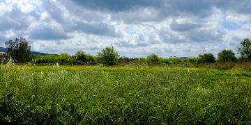 (Φωτ. αρχείου: EUROKINISSI / Γιώργος Κονταρίνης)