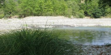 (Φωτ.: ertnews.gr)