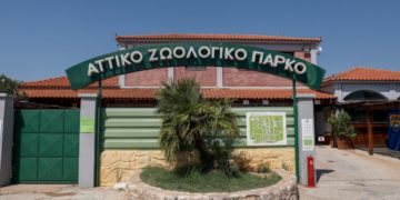 (Φωτ. αρχείου: EUROKINISSI/ Σωτήρης Δημητρόπουλος)