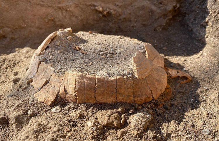 (Φωτ.: Facebook / Pompeii - Parco Archeologico)