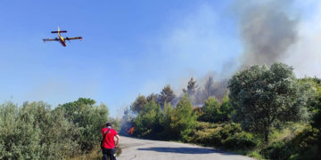 Αεροσκάφος που επιχειρούσε το Σάββατο στο μέτωπο της νότιας Εύβοιας (φωτ.: Facebook / Weather News Greece)