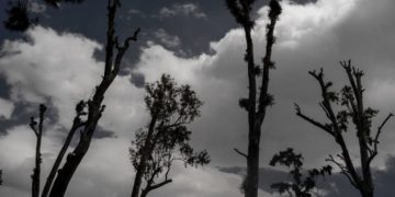 (Φωτ. αρχείου: Γιώργος Κονταρίνης/ Eurokinissi)