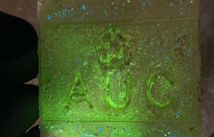 (Φωτ.: AUC)