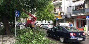 (φωτ.: politic.gr)