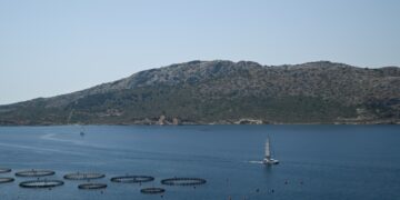 Εικόνα από την περιοχή της Αναβύσσου (φωτ.: EUROKINISSI / Μιχάλης  Καραγιάννης)