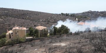 Στιγμιότυπο από το Ντράφι την επόμενη ημέρα της πυρκαγιάς στην Πεντέλη
(φωτ.: Σωτήρης Δημητρόπουλος/EUROKINISSI)