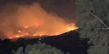 (Πηγή φωτ.:neakriti.gr)