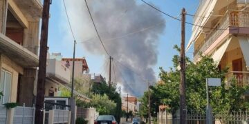 (Πηγή φωτ.:Τwitter / Iouliani1)