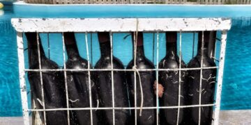 Μπουκάλια κρασί από την… υποβρύχια κάβα στην Ιερισσό (Φωτ.: Άγγελος Ζαμάνης, Θωμάς Ασλανίδης μέσω ΑΠΕ-ΜΠΕ