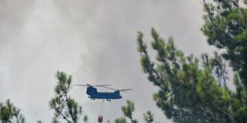 Πυρκαγιά στη Δαδιά Έβρου, Παρασκευή 22 Ιουλίου (Φωτ. : Γραφείο Τύπου ΓΕΕΘΑ/Eurokinissi)