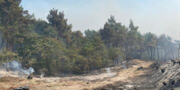 Φωτιά στη Δαδιά Έβρου (Φωτ.: Υπουργείο Κλιματικής Κρίσης και Πολιτικής Προστασίας /Eurokinissi)