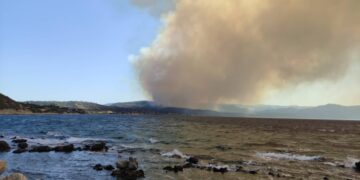 Πυρκαγιά στα Βατερά Λέσβου (Φωτ.: ΑΠΕ-ΜΠΕ)