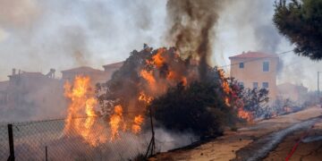 Πυρκαγιά στη Λέσβο, στην περιοχή Ρογκάδα των Βατερών . Σάββατο 23 Ιουλίου 2022 (Φωτ.: Παναγιώτης Μπαλάσκας/Eurokinissi)
