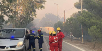 (Φωτ.: Ελληνικός Ερυθρός Σταυρός)
