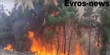 (Φωτ.: evros-news.gr)