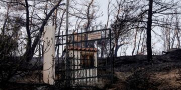 Εικόνα από τη φωτιά στα Μέγαρα, χθες Τετάρτη 20 Ιουλίου 2022 (φωτ.: Γιώργος Κονταρίνης / EUROKINISSI)