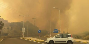 Ελαιώνας Άμφισσας (φωτ.: Facebook / Chrysa Petsinou)