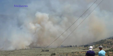 (Φωτ.: fokidanews)