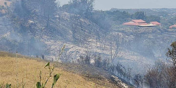 (Φωτ.:  ilialive.gr)