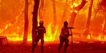 (Φωτ.: EUROKINISSI / Παναγιώτης Μπαλάσκας)