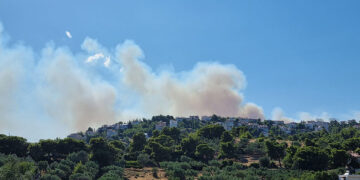 (Φωτ.: Facebook / Dimitra Lagou)