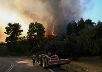 Λήψη από την πυρκαγιά στα Κρέστενα στην Ηλεία (φωτ.: Ilialive.gr /Γιάννης Σπυρούνης / EUROKINISSI)