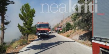 (Φωτ.: neakriti.gr)