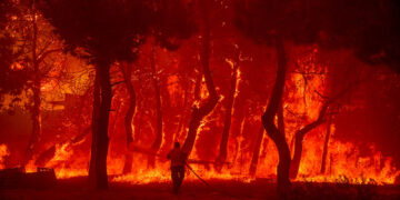 (Φωτ.: EUROKINISSI / Παναγιώτης Μπαλάσκας)