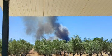 (Φωτ.: Facebook / Vicky Markou)