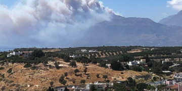 (Φωτ.: Twitter / Druna Carnivora)