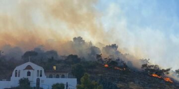 (Φωτ.: Twitter / Policenet)