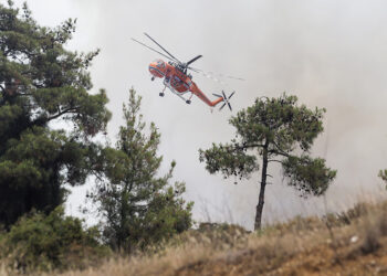 Πυρκαγιά στο δάσος του Σέιχ Σου (φωτ. αρχείου: Μotionteam / Γιώργος Κωνσταντινίδης)
