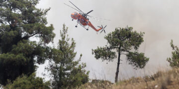 Πυρκαγιά στο δάσος του Σέιχ Σου (φωτ. αρχείου: Μotionteam / Γιώργος Κωνσταντινίδης)