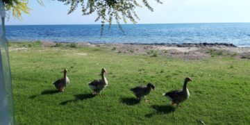 (Φωτ.: Πόπη Παπαγεωργίου/pontosnews.gr)