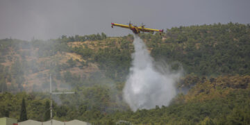 (Φωτ.: Σωτήρης Μπαρμπαρούσης / EUROKINISSI)