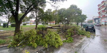 (Φωτ.: agriniopress.gr)