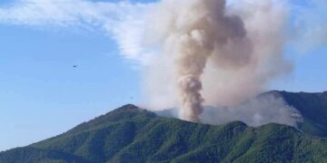 Φωτιά στη Σκάλα Ποταμιάς στη Θάσο (Φωτ.: ΑΠΕ-ΜΠΕ)