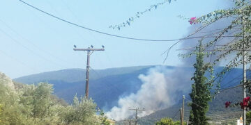 (Φωτ.: Facebook / Xrisa Papapantelidi)