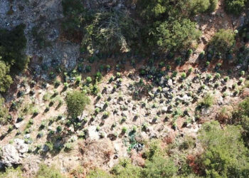 (Φωτ.: Γενική Περιφερειακή Αστυνομική Διεύθυνση Στερεάς Ελλάδας)