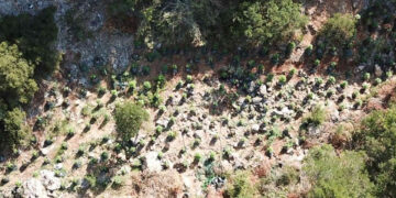 (Φωτ.: Γενική Περιφερειακή Αστυνομική Διεύθυνση Στερεάς Ελλάδας)