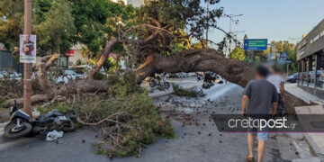 (Φωτ.: cretapost.gr)