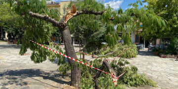 (Φωτ.: ertnews.gr)