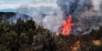 (Φωτ.: αρχείο ΑΠΕ-ΜΠΕ / Ευάγγελος Μπουγιώτης)