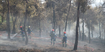 (Φωτ. αρχείου: MOTION TEAM / Βασίλης Βερβερίδης)