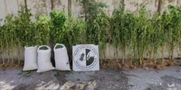 (Φωτ.: Τμήμα Ασφάλειας Κιλκίς)