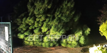 (Φωτ.: ertnews.gr)